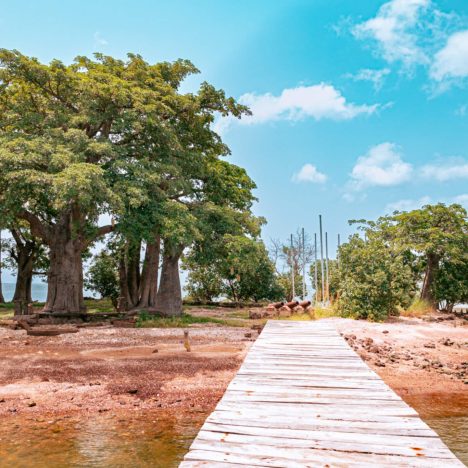 The Gambia (20)